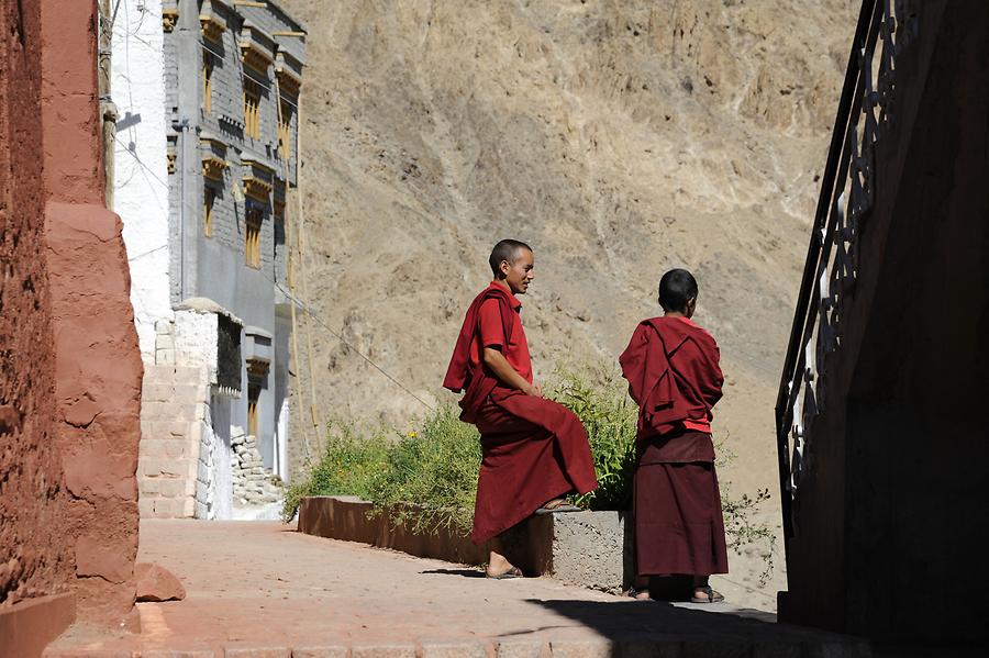 Phyang Monastery - Monks