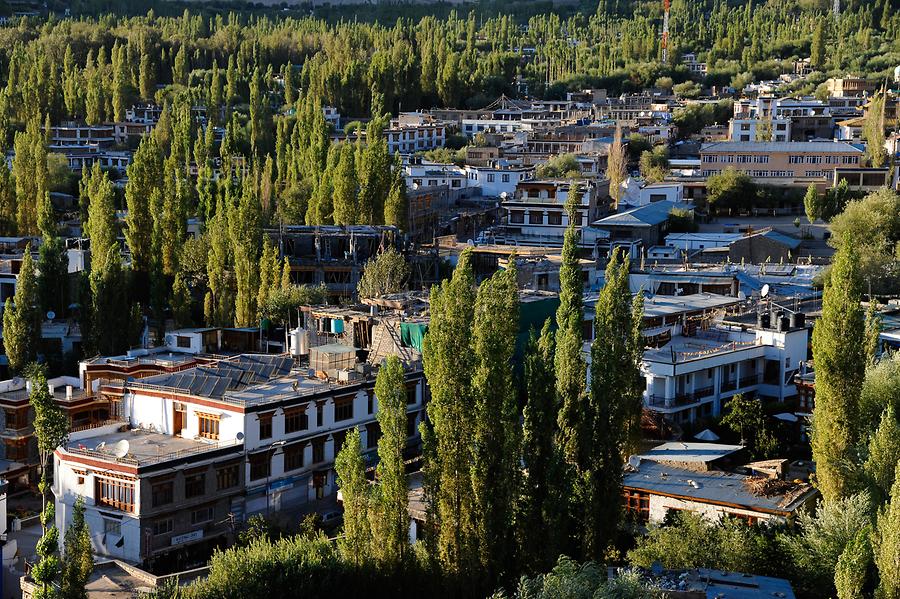 Leh - Panoramic View