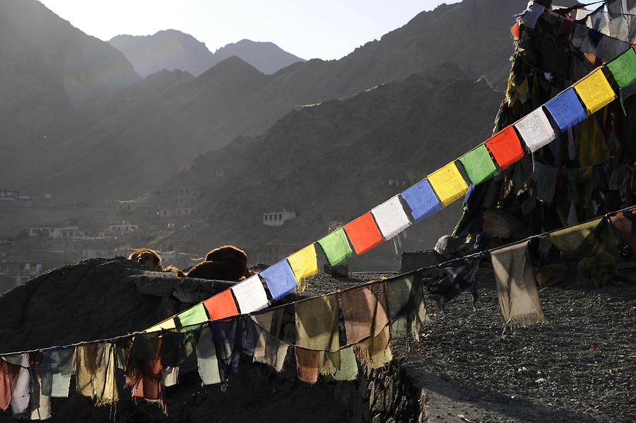 Prayer Flags