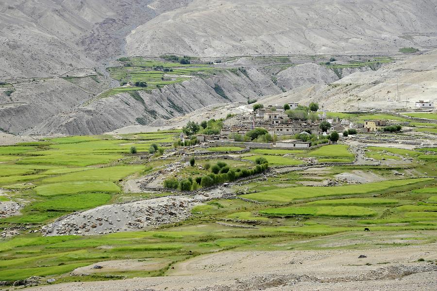 Nubra Valley