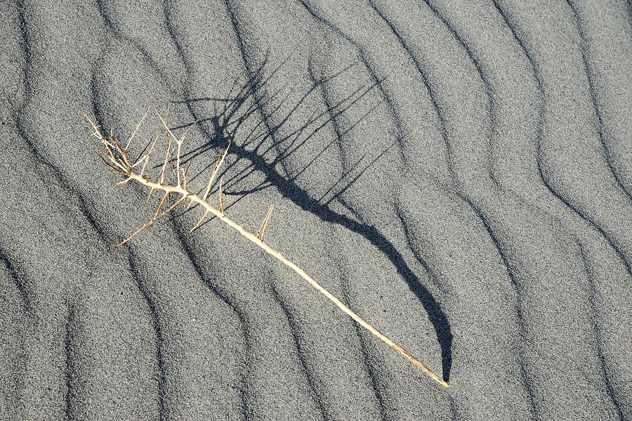 Sand Dunes near Hundar