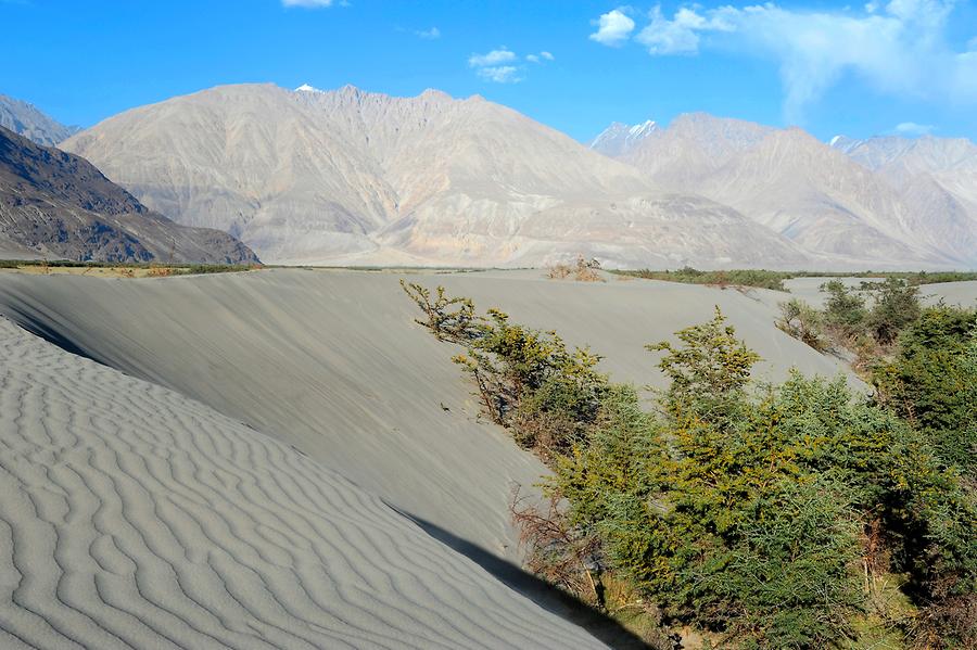 Sand Dunes near Hundar