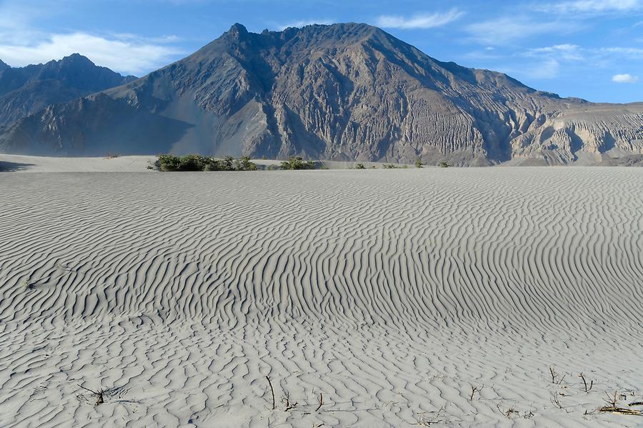 Sand Dunes near Hundar