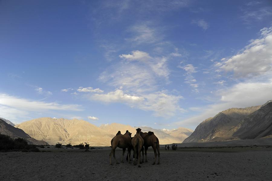 Sand Dunes near Hundar