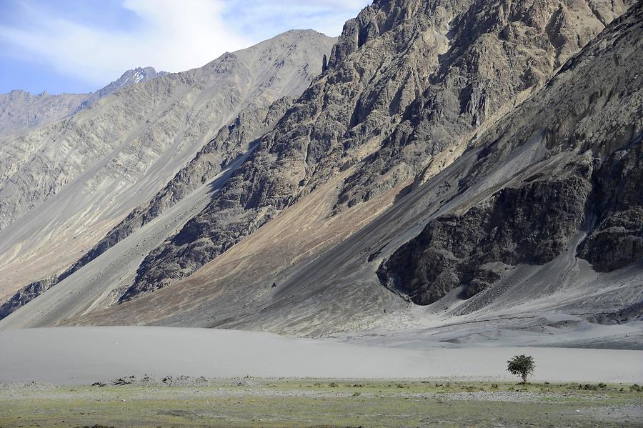 Sand Dunes near Hundar