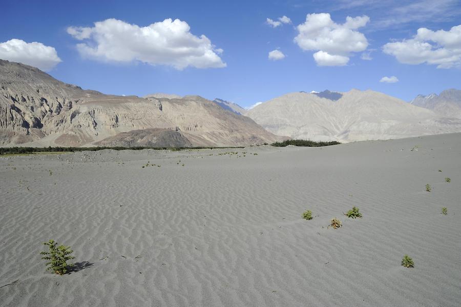 Sand Dunes near Hundar