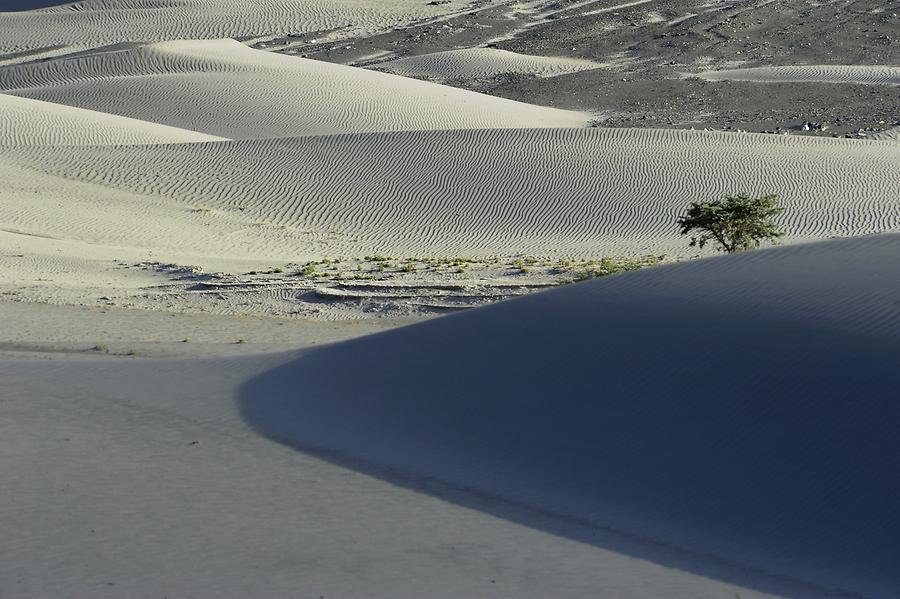 Sand Dunes near Hundar