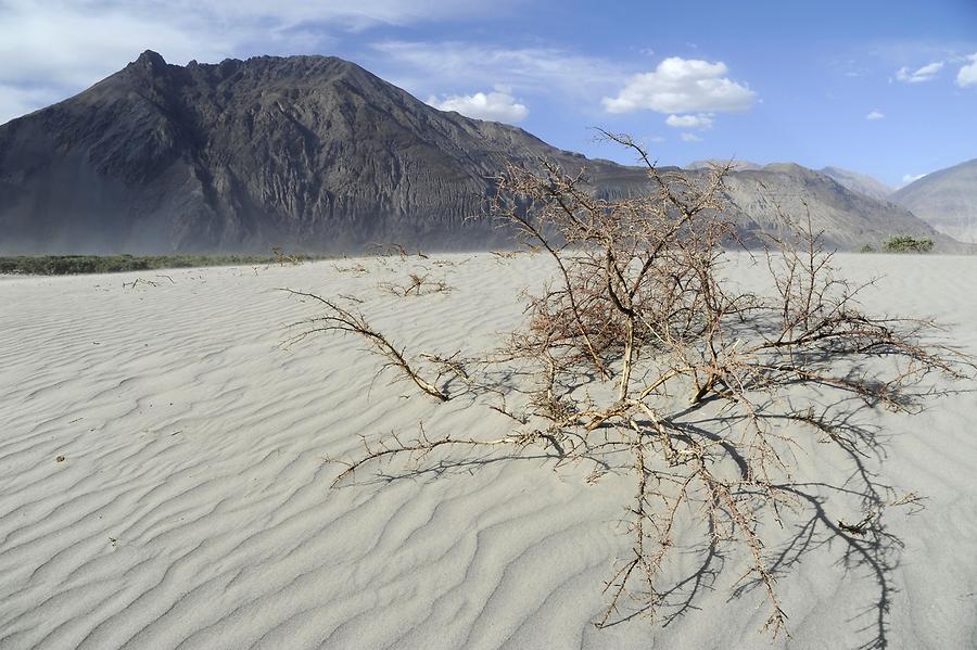 Sand Dunes near Hundar