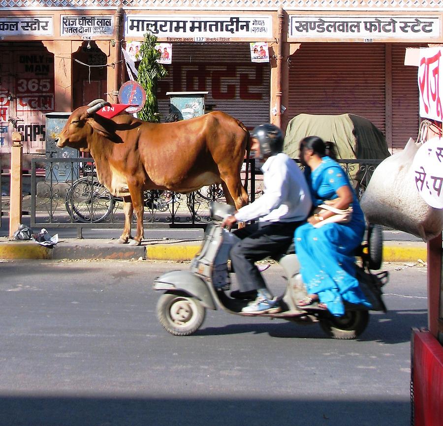 Impressions of Jaipur