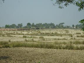 Landscape near Udayagiri Caves (1)