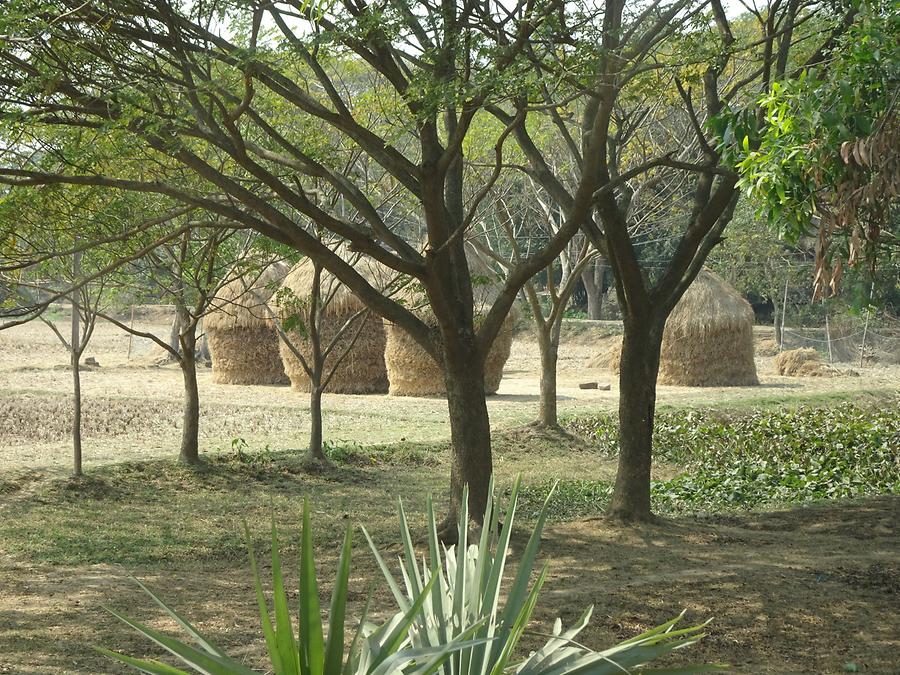 Landscape near Udayagiri Caves