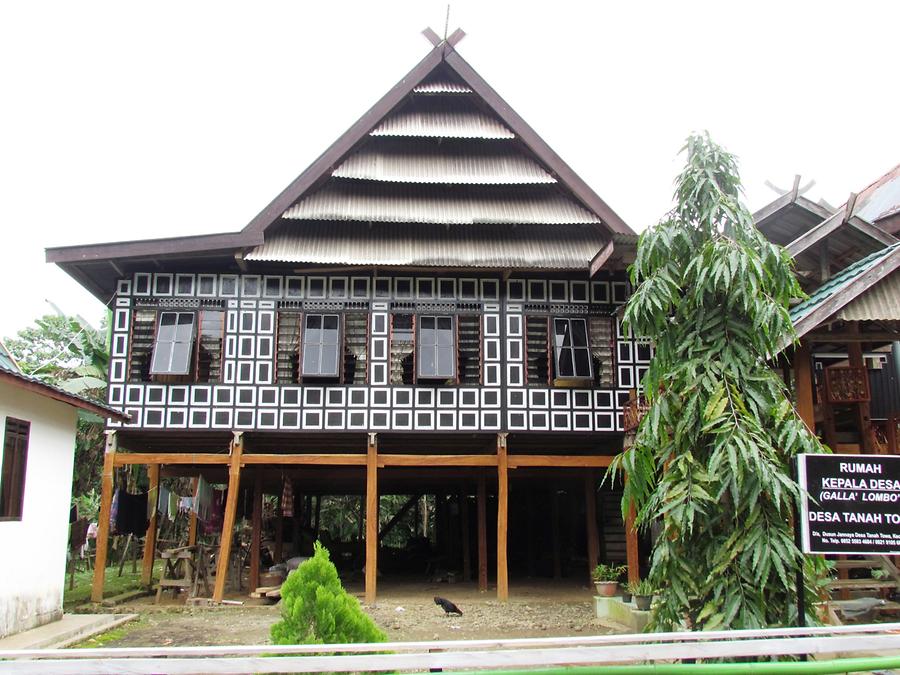 Houses Built on Stilts