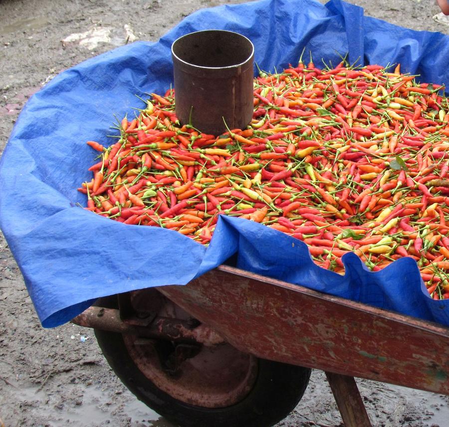 Rantepao - Vegetable and Animal Market