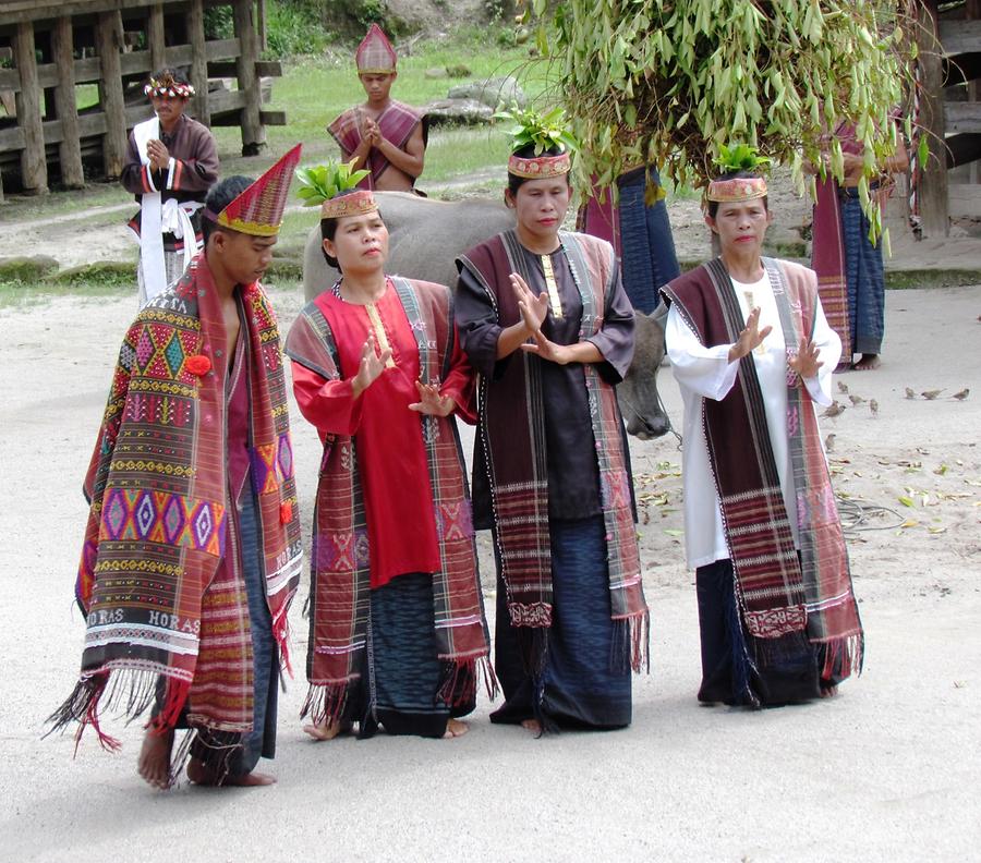 Traditional Dance Performance