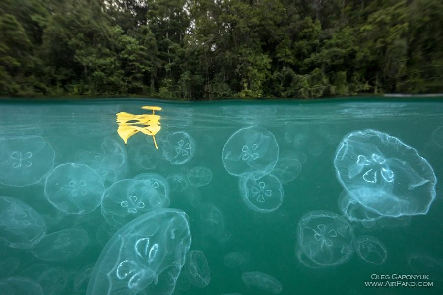 Jellyfish Bay, Raja Ampat, Indonesia, © AirPano 