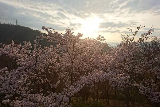 Hiroshima Prefecture