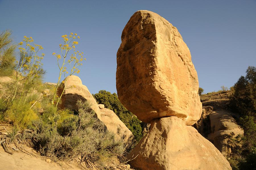 Dana Canyon