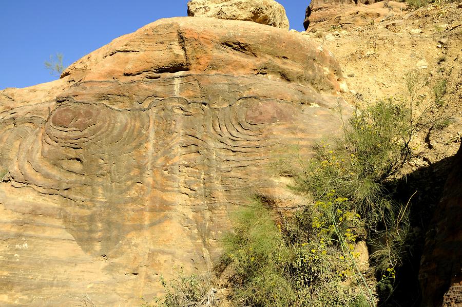 Dana Canyon