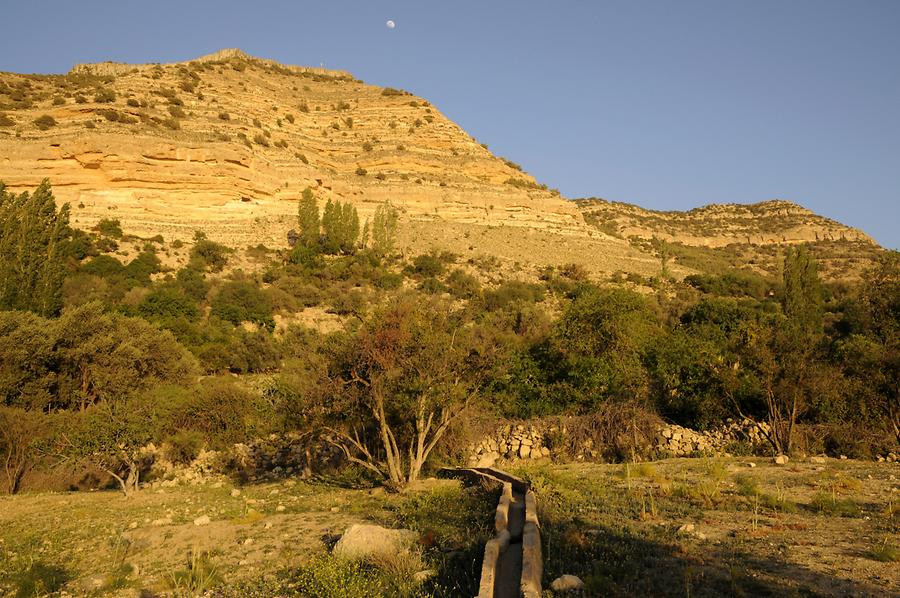 Fields at Dana