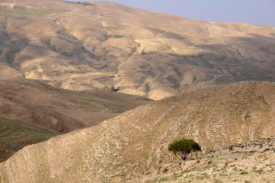 Landscape at Mount Nebo