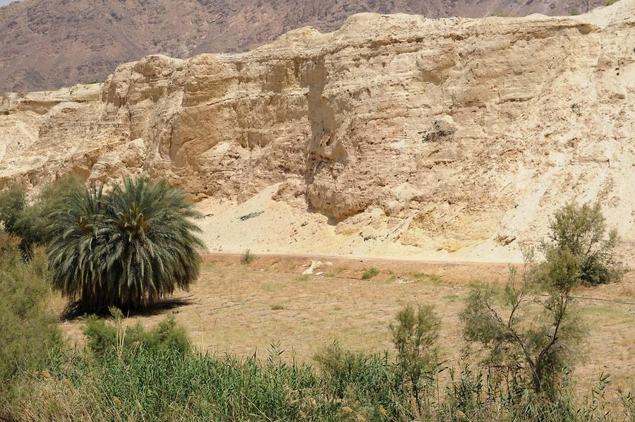 Landscape at Fayfa