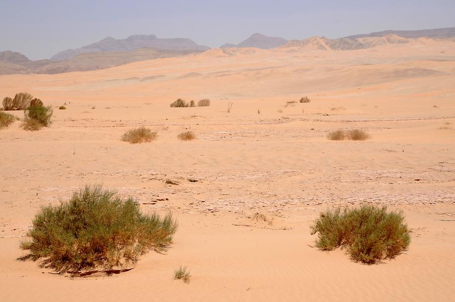 Wadi Araba