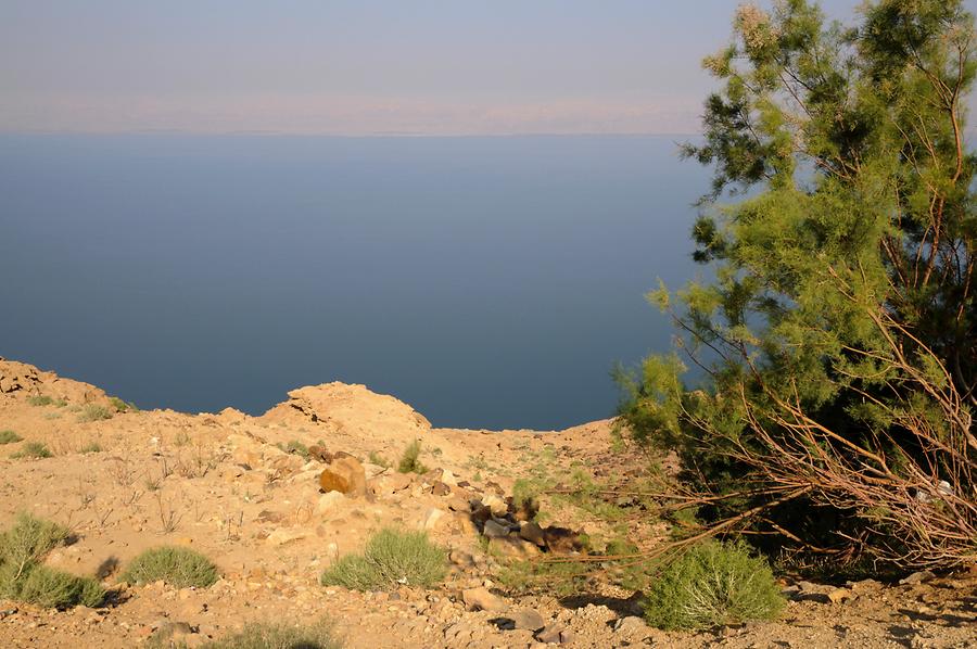 Dead Sea