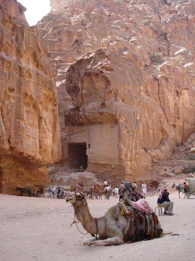 Rest stop at Petra