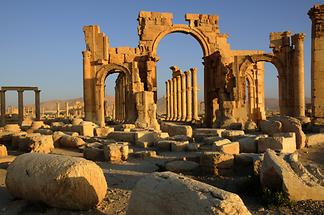 Palmyra