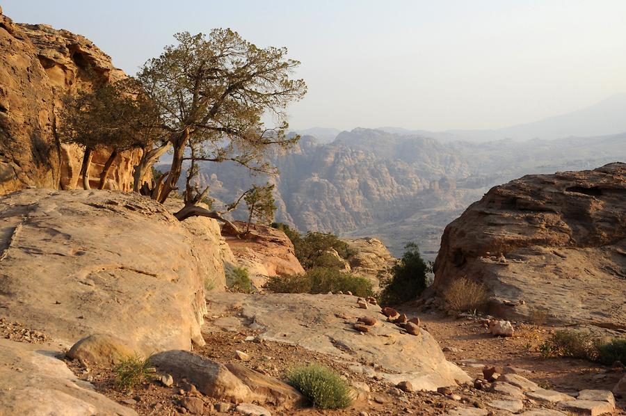 View of Petra