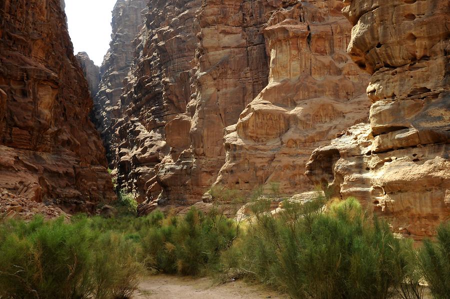 Wadi Rum