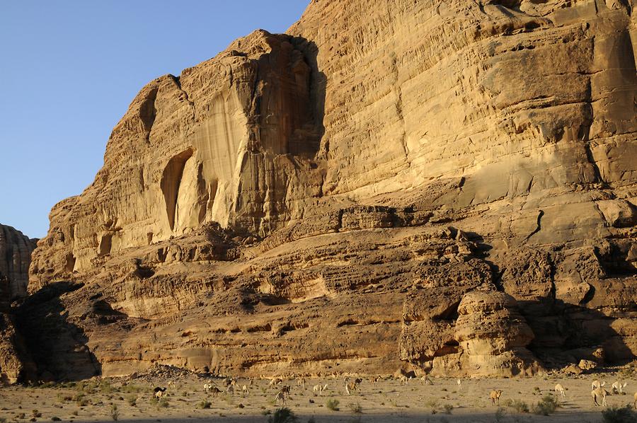 Wadi Rum