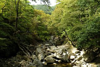 Kaya National Park