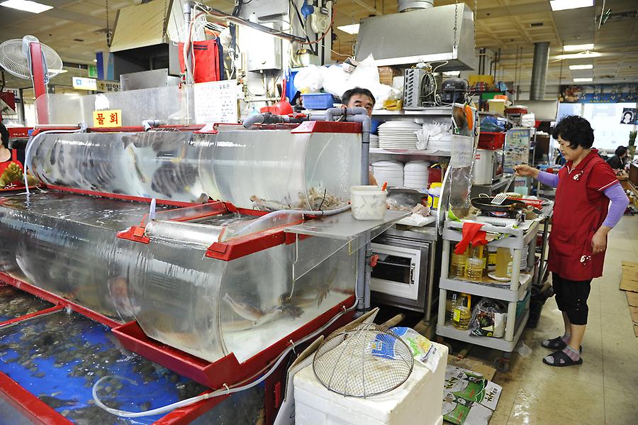 Restaurant at the Jagalchi fish market