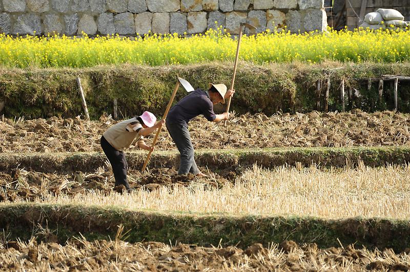 Farmers