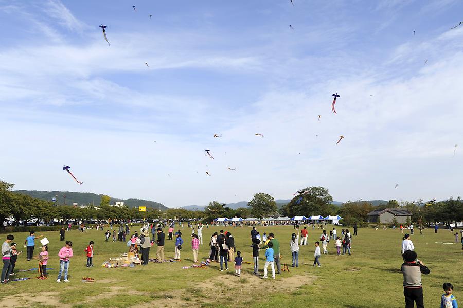 Kites Wolseong Park