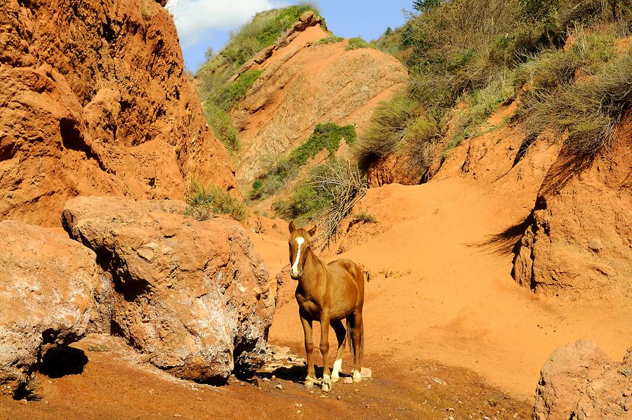 Jeti-Ögüz Gorge