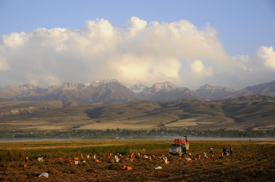 Tien Shan near Karakol