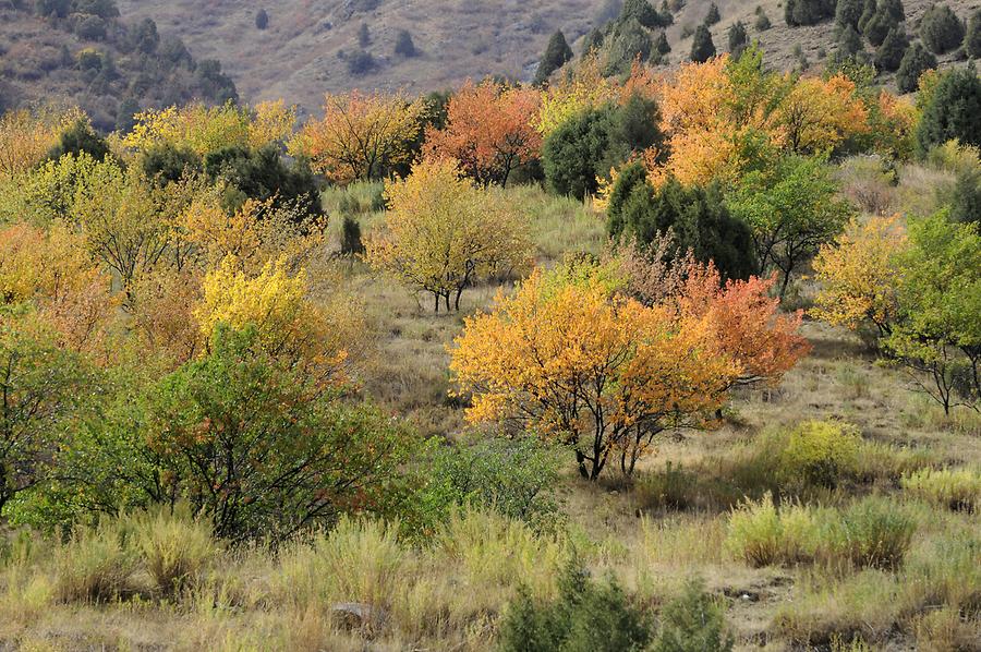 Ala Archa National Park, Canyon