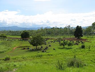 Laos