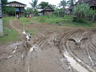 Laos