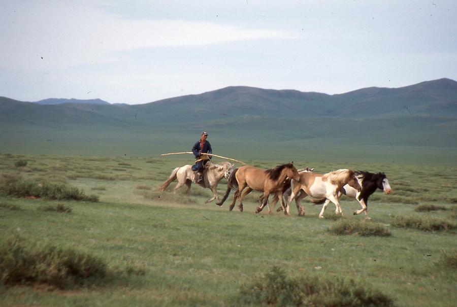 People and horses