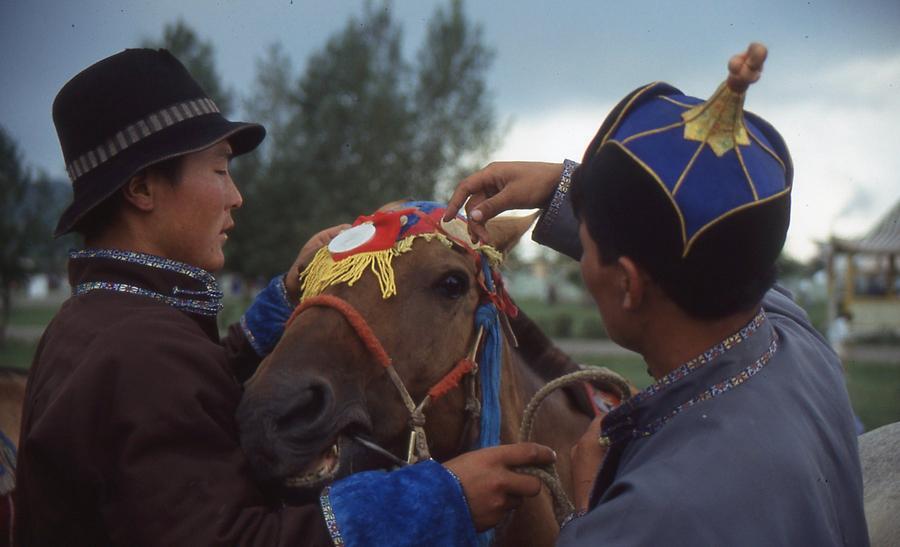 People and horses