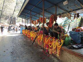 Dashkin Kali sacrificial flowers