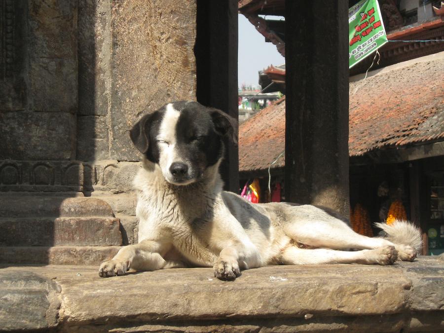 Kathmandu Durbar Square