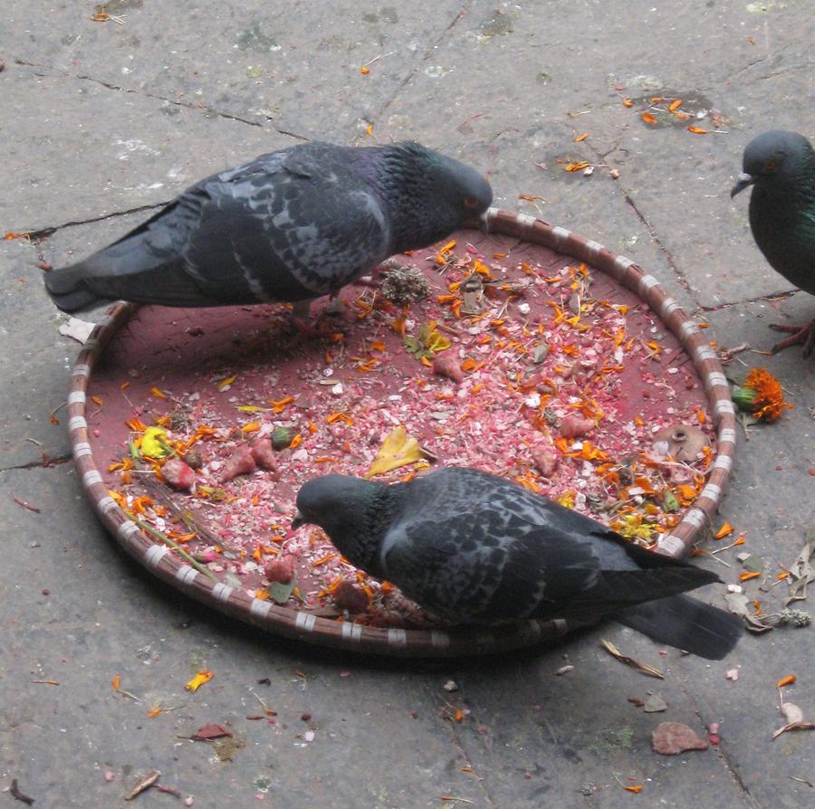 Patan Hiranya Varna Mahavihar Monastery