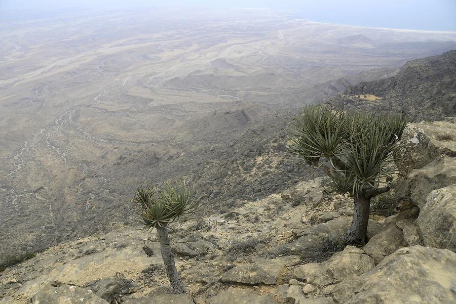 Jabal Samhan Nature Reserve