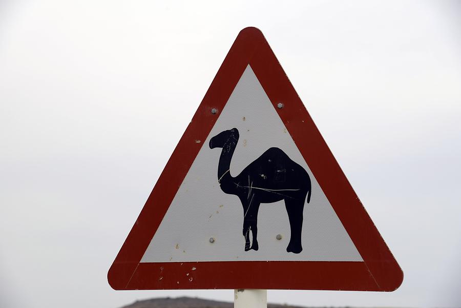 Wadi Darbat - Road Sign