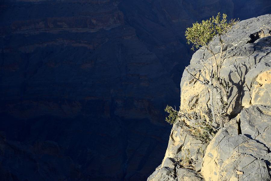 Jebel Shams - Gorge