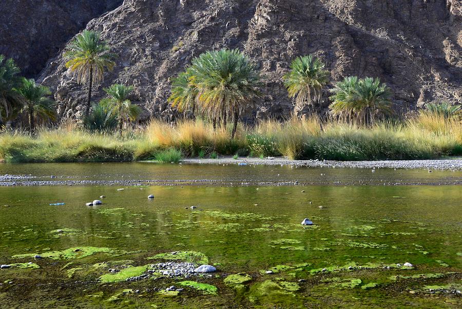 Wadi Al Abyadh